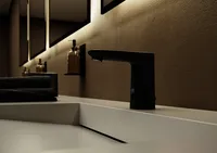 Electra_matt black_1.jpg